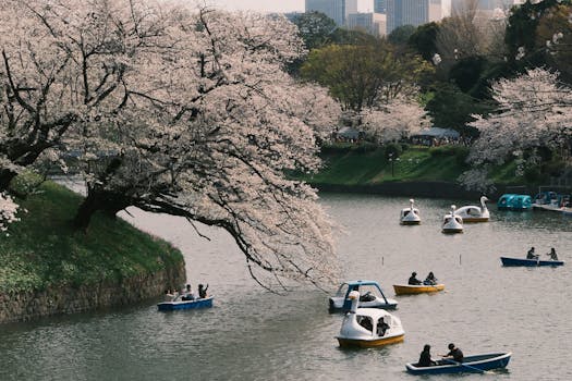 Photo by miyou_ 77 on Pexels